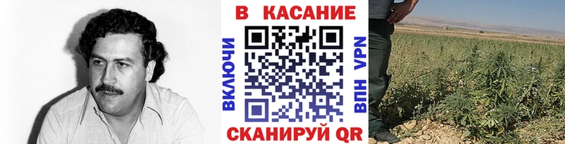 Купить наркотики Ермолино Амфетамин  Канабис  A PVP  Меф  COCAIN  Гашиш 