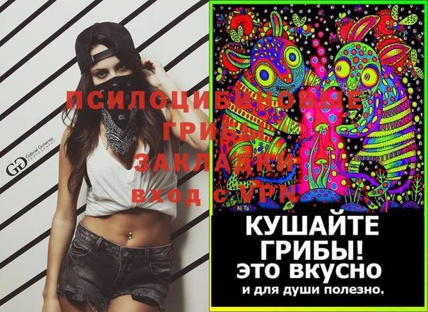 стаф Абаза