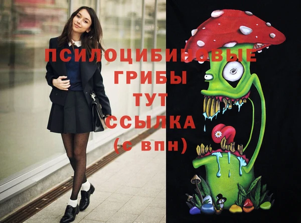 стаф Абаза