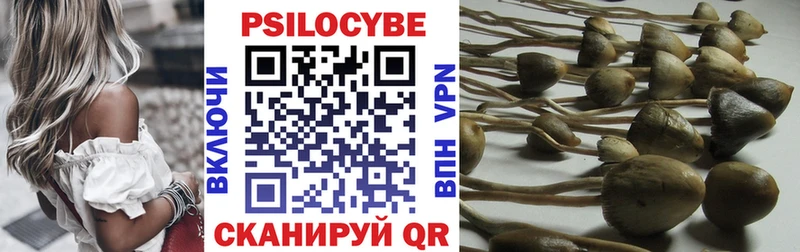 Псилоцибиновые грибы Cubensis Ермолино